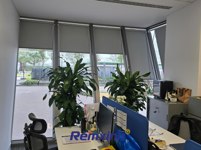 Rèm cuốn văn phòng giúp kiểm soát ánh sáng linh hoạt
