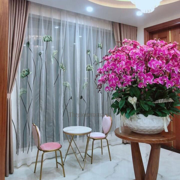 Rèm cửa 2 lớp chống nắng cho phòng khách