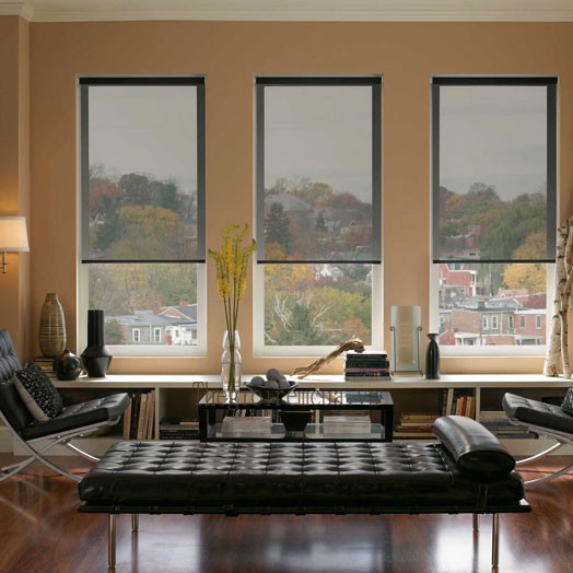 Rèm cửa cuốn lưới cao cấp lịch sự sang trọng