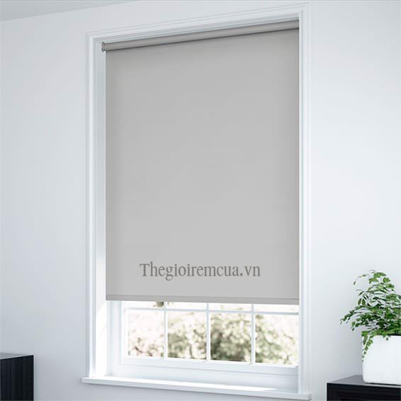 Rèm cuốn màu xám ghi được văn phòng ưa chuộng nhất 2025